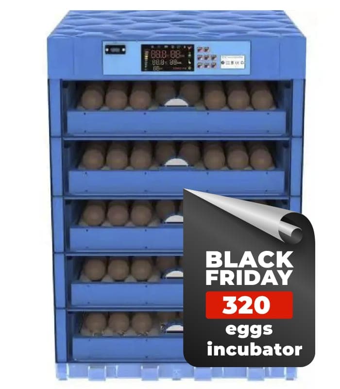 Kukumom 320 Eggs Automatic AC/DC Incubator