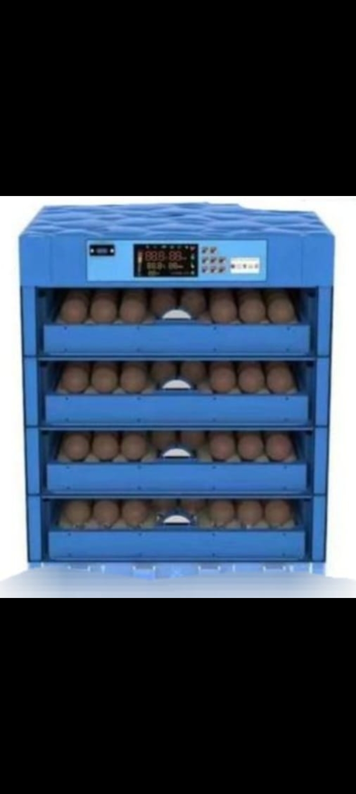 Kukumom 256 Eggs Automatic AC/DC Incubator